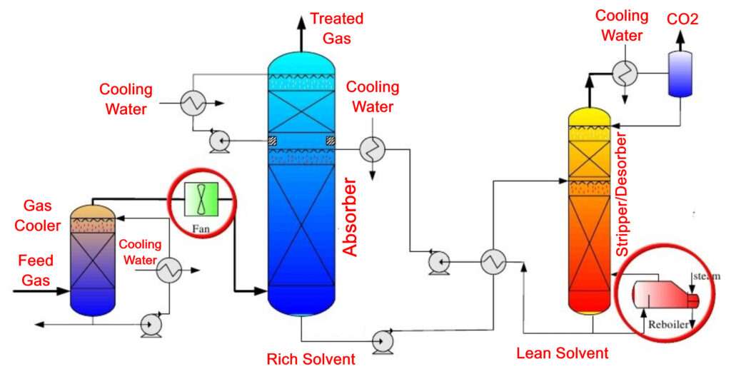 write a short essay about the process of absorption