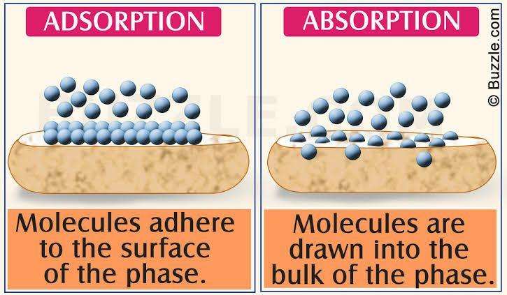 what-is-the-meaning-of-the-word-adsorb-youtube