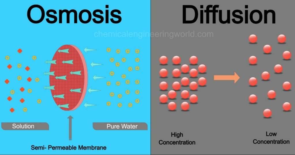 Difference Between Osmosis And Diffusion Chemical Engineering World